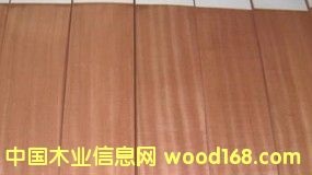 沙比利的詳細(xì)介紹