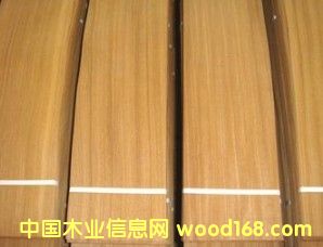 柚木王的詳細(xì)介紹