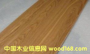 水曲柳的詳細(xì)介紹