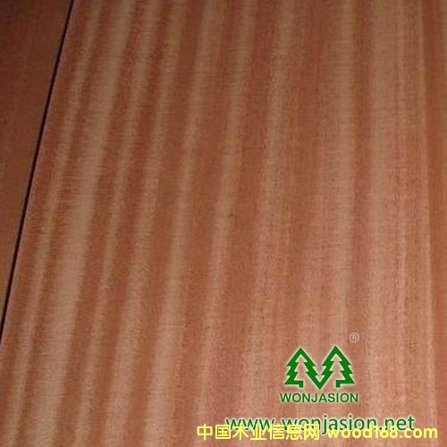 沙比利的詳細(xì)介紹