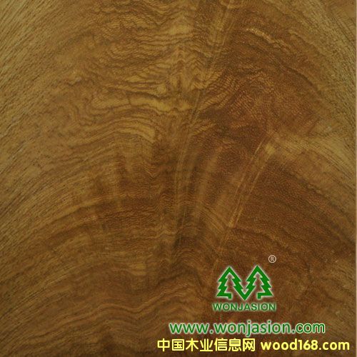 金叉的詳細(xì)介紹