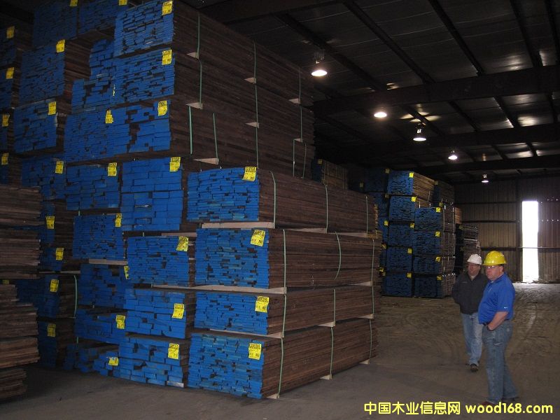 黑胡桃的詳細(xì)介紹