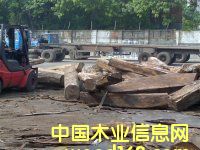 灆Ƥ|ľ|ľ|S|M(jn)P(gun)