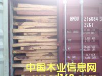 ρľ|̴|ľ|\~Kľ|S|MP(gun)