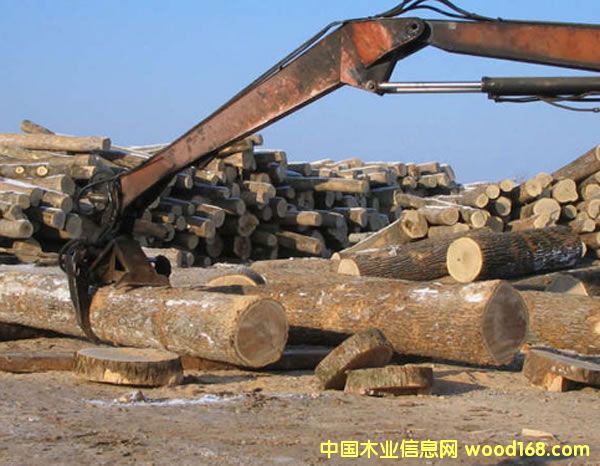 _˹֘I(y)֬F(xin)(chng)x Ԕ(x)B