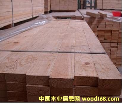 輻射松3 輻射松3