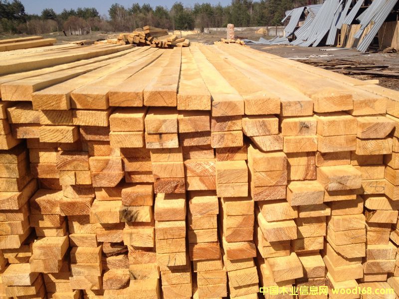 5x10的詳細(xì)介紹