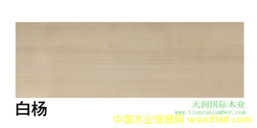 (gu)ח American aspenԔ(x)B