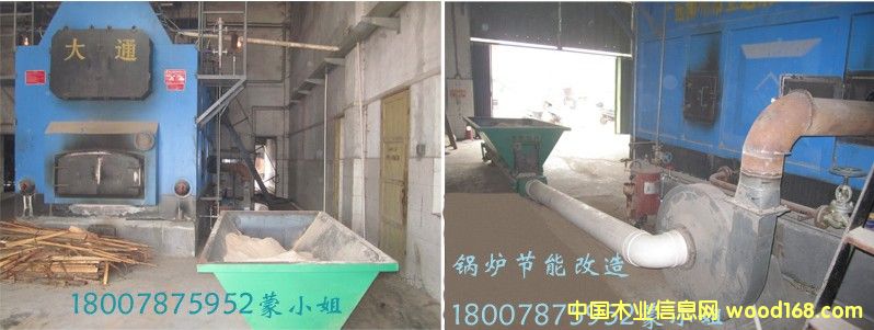 ȼú偠t(ji)ܼg(sh)Ԕ(x)B