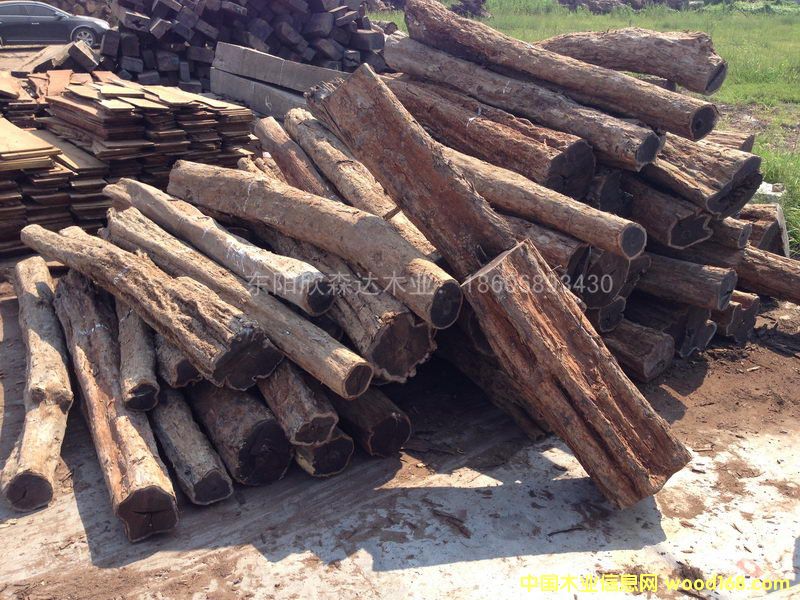 Ϲ̴(|ǺS̴)1309-1Ԕ(x)B