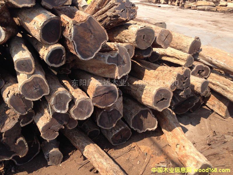 Ϲ̴(|ǺS̴)1309-4Ԕ(x)B