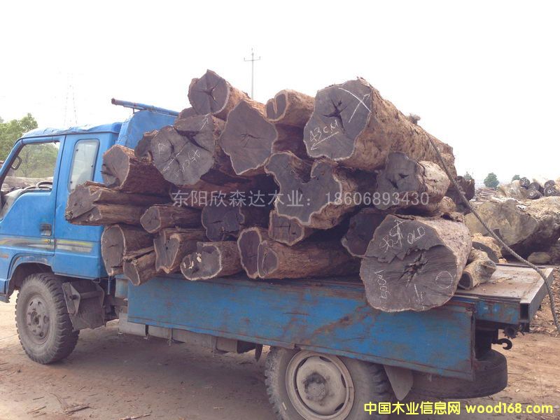 Ϲ̴(|ǺS̴)1309-8Ԕ(x)B