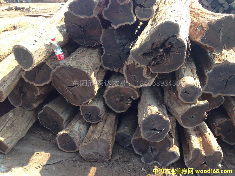 Ϲ̴(|ǺS̴)1309-2Ԕ(x)B