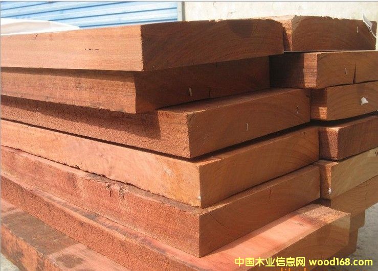 加拉的詳細介紹