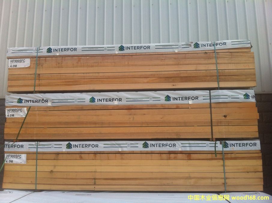 鐵杉2的詳細介紹