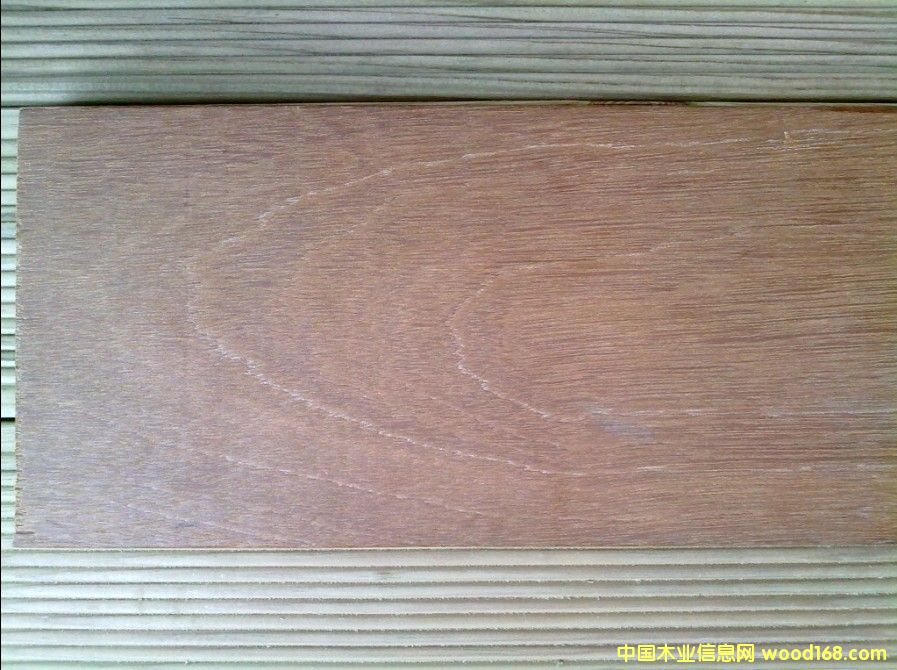 巴勞木的詳細介紹