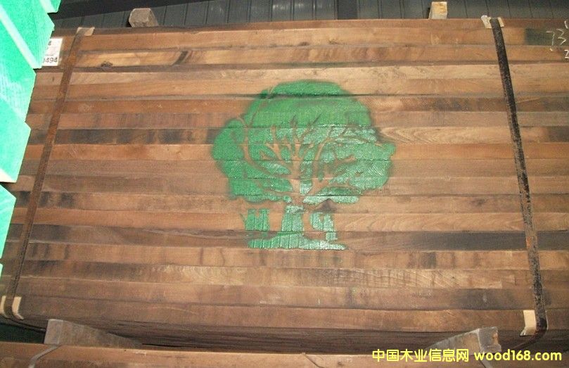 黑胡桃的詳細(xì)介紹