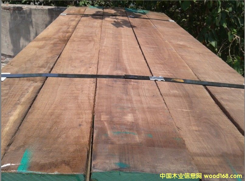 黑胡桃的詳細(xì)介紹