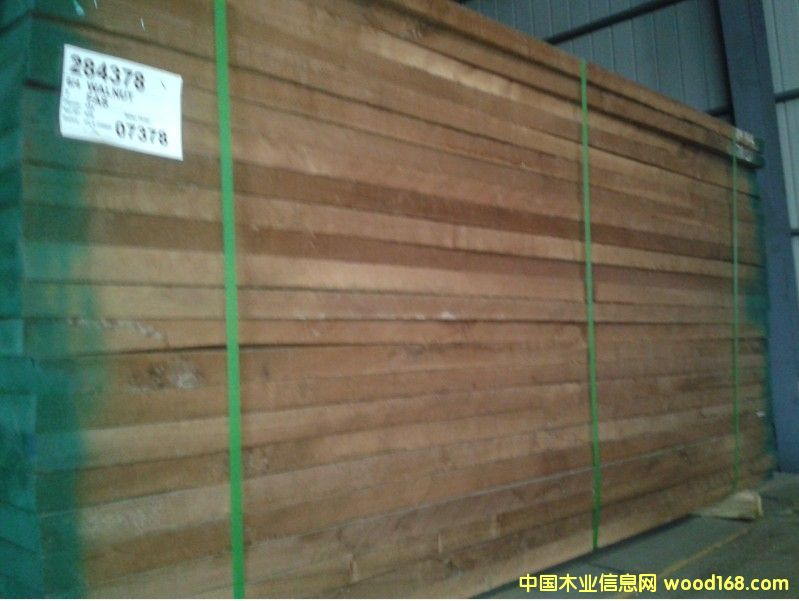 黑胡桃的詳細(xì)介紹