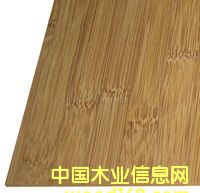 |ݸ幩(yng) Xɽ ƽ Mr