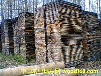 white oak unedged boardsԔB