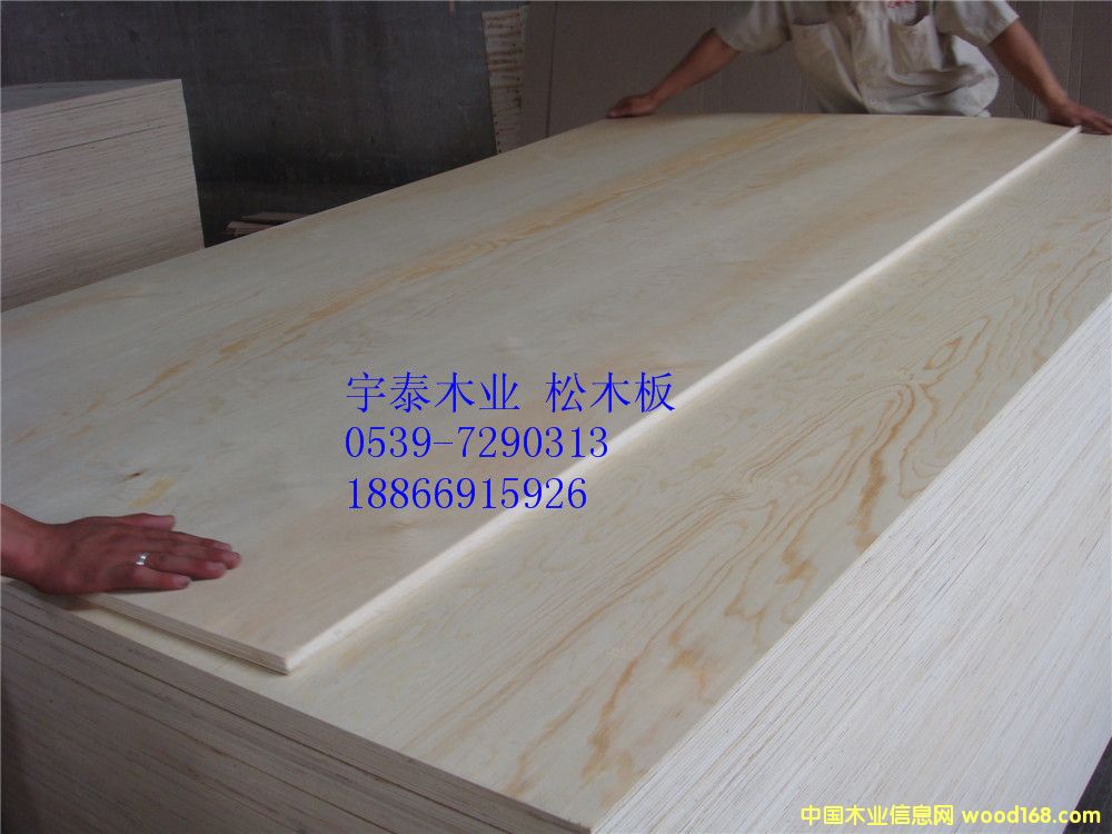 ľ׼Ҿ߼(j)zϰӰԔ(x)B