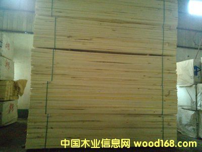 白楊的詳細(xì)介紹