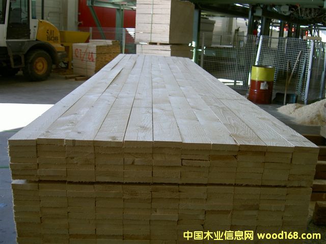 歐洲云杉的詳細(xì)介紹