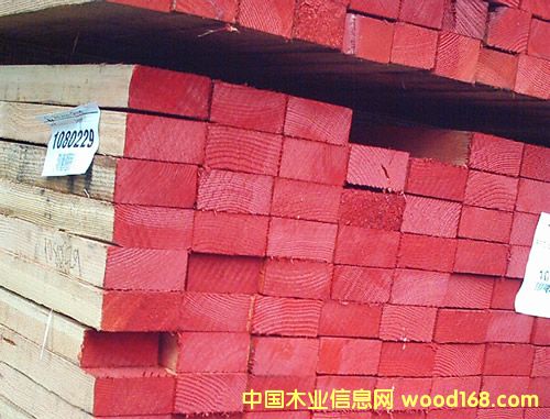 花旗的詳細(xì)介紹