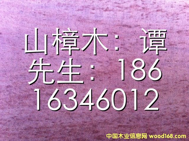 山樟木的詳細(xì)介紹