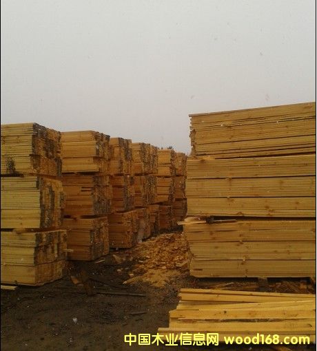 樟松成材的詳細(xì)介紹