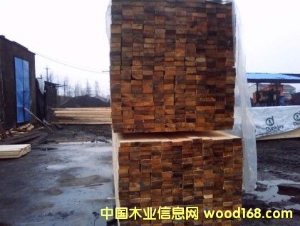 白松木方的詳細(xì)介紹