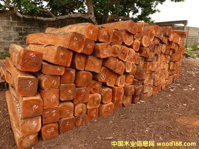 紅木的詳細(xì)介紹