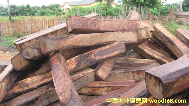 亞花梨的詳細(xì)介紹