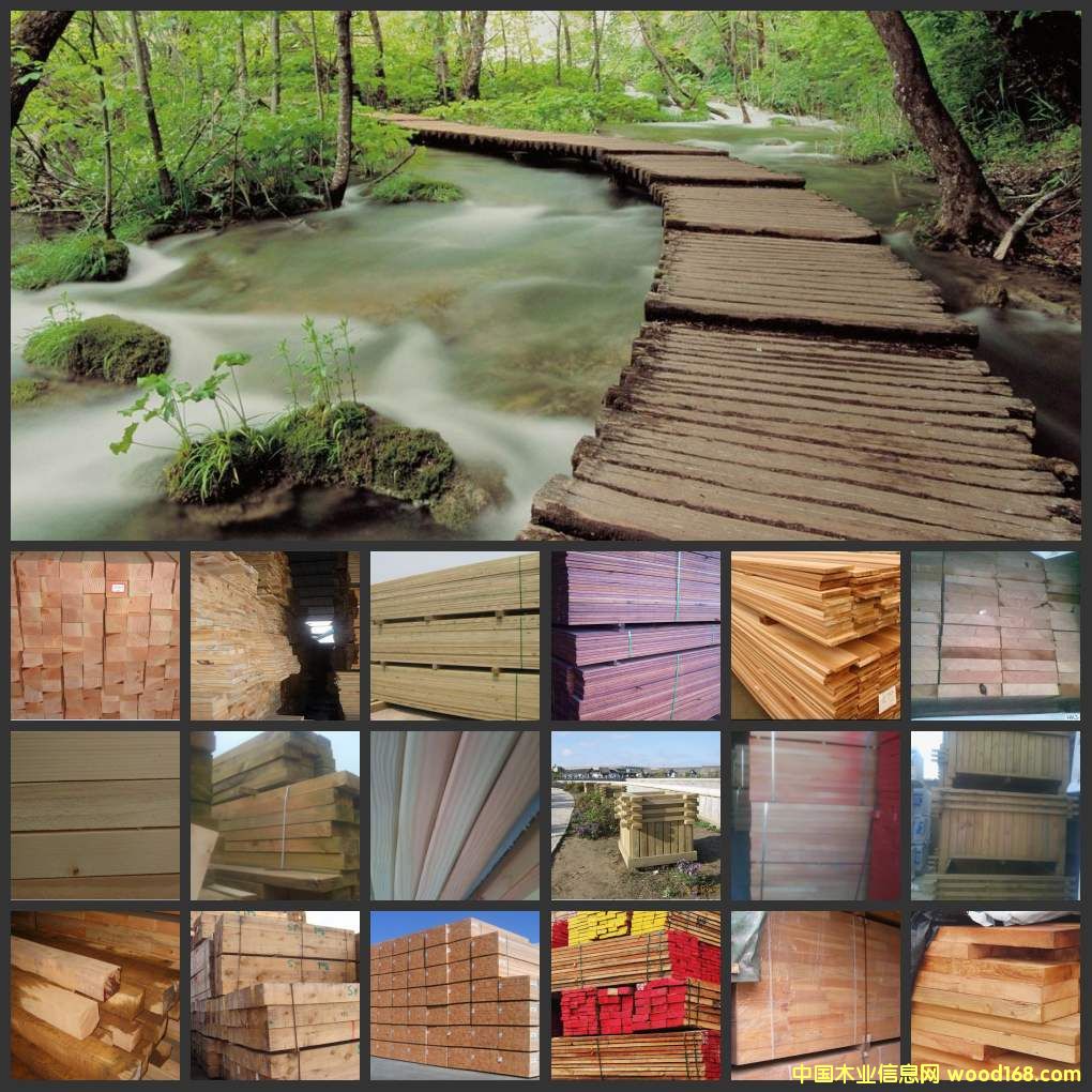 ̈́ľ/ẗ́ľ/S̈́ľԔ(x)B