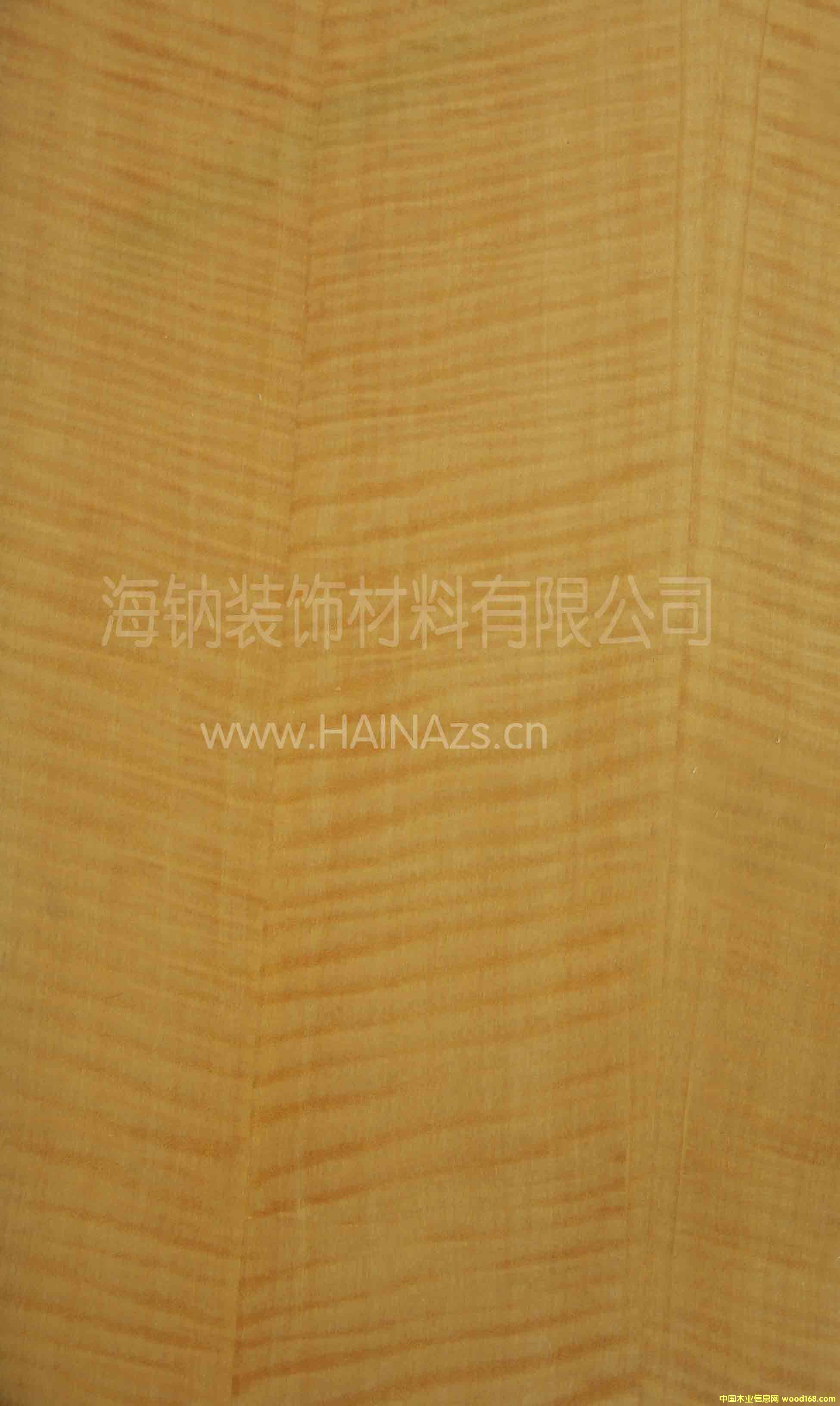 金影的詳細(xì)介紹