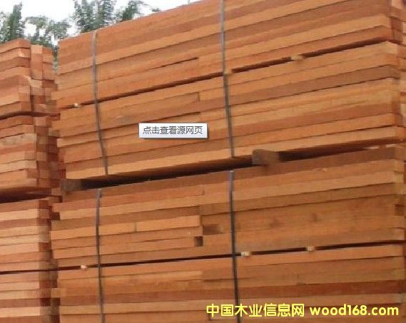 柳桉的詳細(xì)介紹