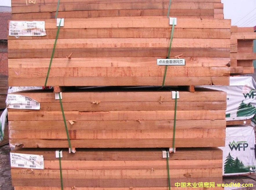 紅雪松的詳細(xì)介紹