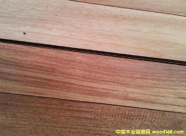 柚木的詳細(xì)介紹