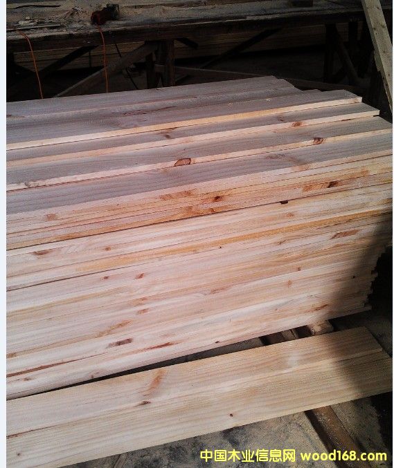 輻射松的詳細(xì)介紹