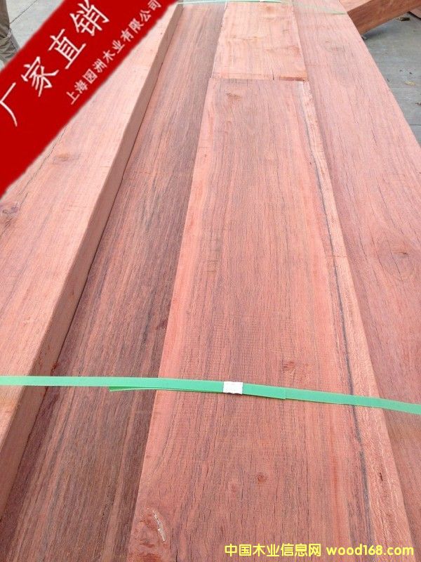 第倫桃的詳細(xì)介紹