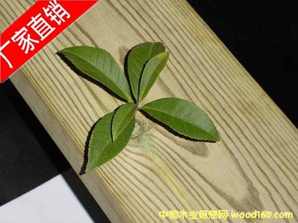 南方松的詳細(xì)介紹