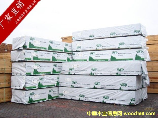 云杉的詳細(xì)介紹