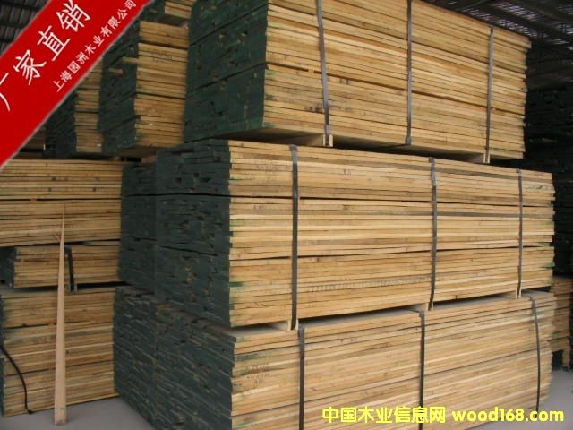 黑胡桃的詳細(xì)介紹