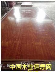 模板的詳細介紹