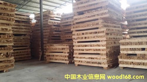 ѩɡM(jn)ľľWL(zhng)ɳѩN۵Ԕ(x)B