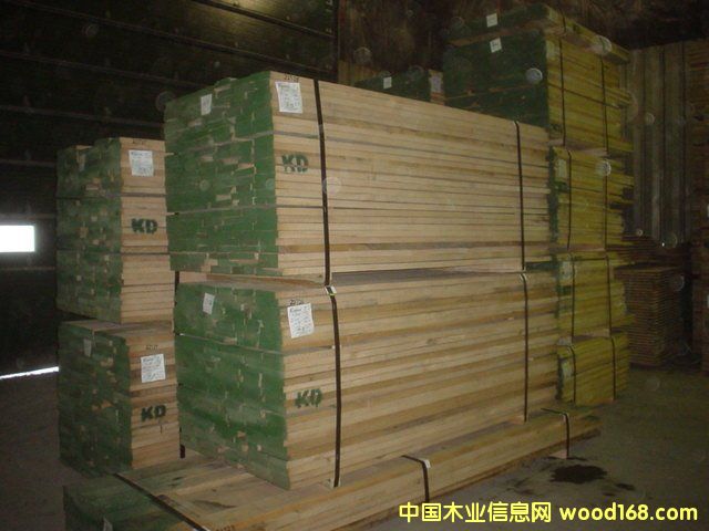 紅橡的詳細介紹