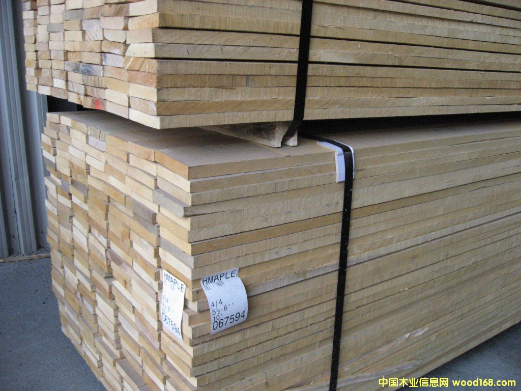 硬楓的詳細介紹