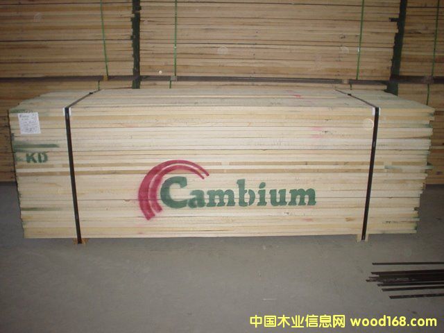 白蠟的詳細介紹