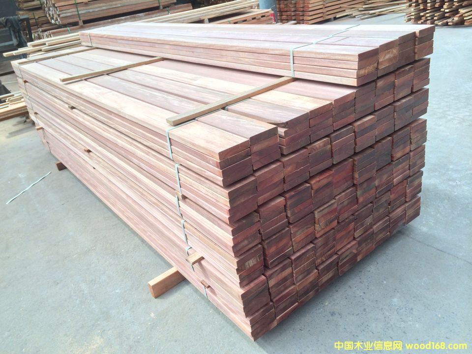 柳桉的詳細(xì)介紹